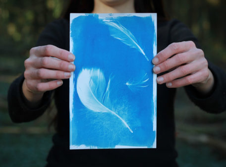 Carte cyanotype plumes