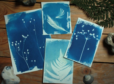 Carte cyanotype botanique